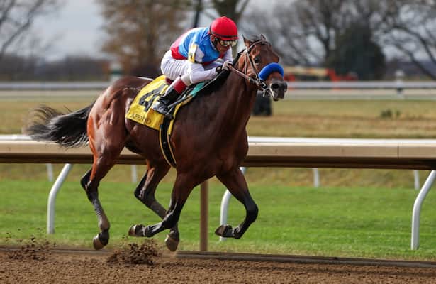 Kentucky Derby 2023 trail: Southwest Stakes odds, free PPs