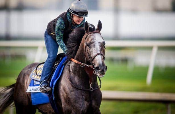 Arrogate 'went perfect' in latest drill toward Breeders' Cup