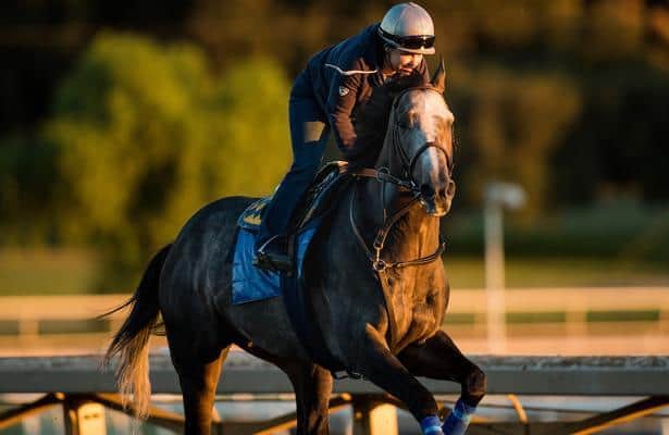 6 workouts to watch before making 2017 Breeders’ Cup picks