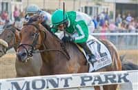 Artemis Agrotera, Jose Lezcano aboard, wins the Grade 1 Frizette Stakes, a "Win and You're In Breeders' Cup Juvenile Fillies Division" race at Belmont Park in Elmont, New York.