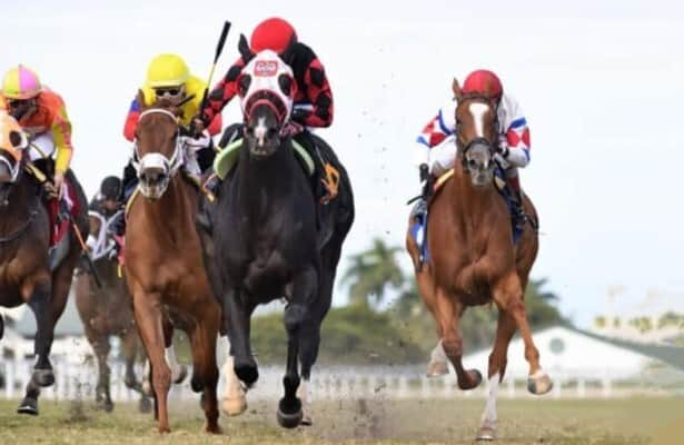 Gulfstream Park: Ashima, Lightning Tones win Saturday stakes