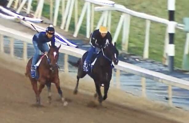 Workouts See 2 Top Breeders Cup Hopes Breezing In Tandem