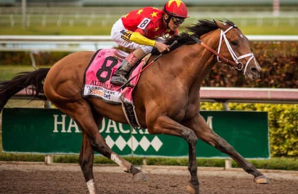 Kentucky Derby 2018 contender Audible's sponsor pledging to aftercare
