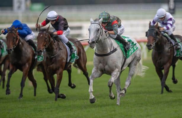 Group 1 action from Australia awaits horseplayers Friday night