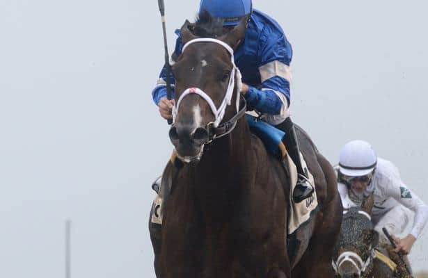 Winning the Remsen Stakes a negative? Not for Avery Island