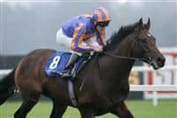 Await The Dawn winning the Kilternan Stakes with Johnny Murtagh at Leopardstown Racecourse.