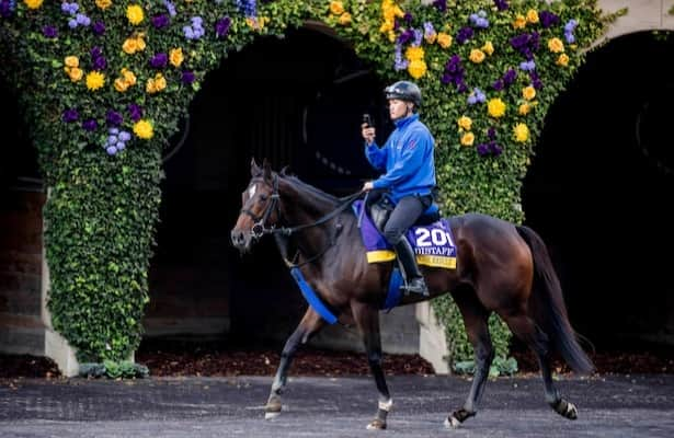 Breeders’ Cup notes: Monday updates on Distaff horses