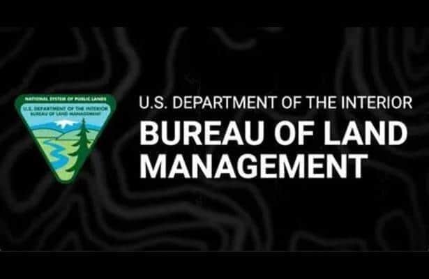 Federal wild horse program faces scrutiny amid slaughter concern
