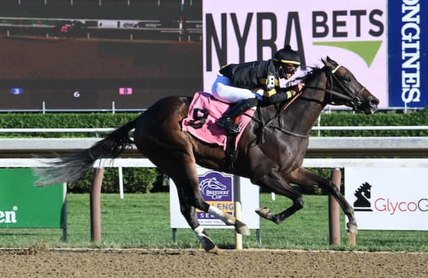 Baby Yoda will pursue his 1st graded-stakes win in Cigar Mile