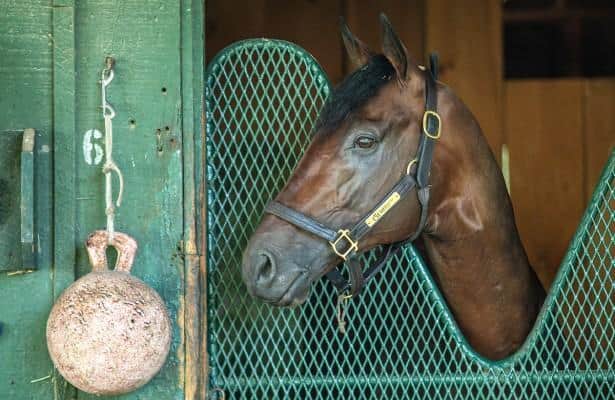 Bill Mott discusses Baeza's start in Jockey Club Gold Cup preparations