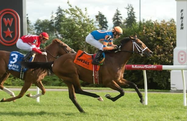 Woodbine: Repole, Attard send 2 in Saturday’s Autumn Stakes