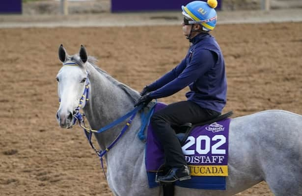 Breeders’ Cup notes: Tuesday updates on Distaff horses