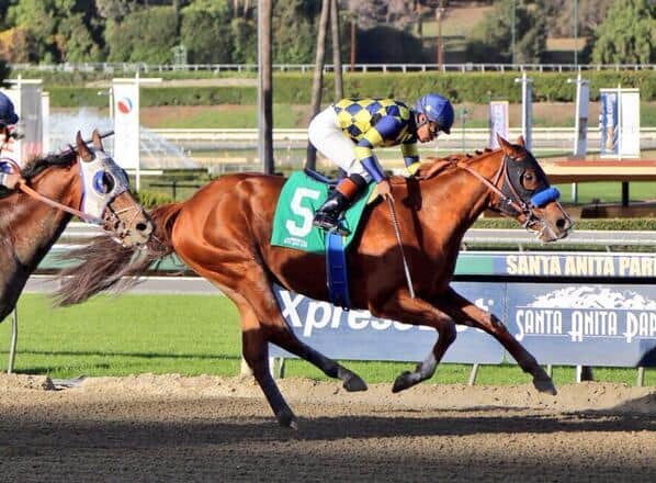 horseracingnation com