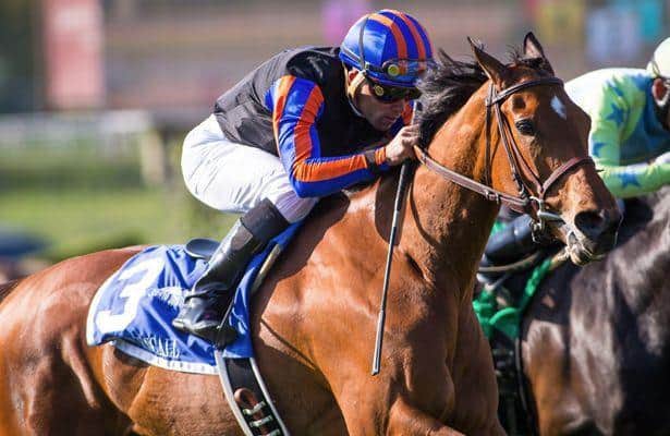 Expert picks: Bet Fair Grounds' all-stakes Pick 4 on a budget