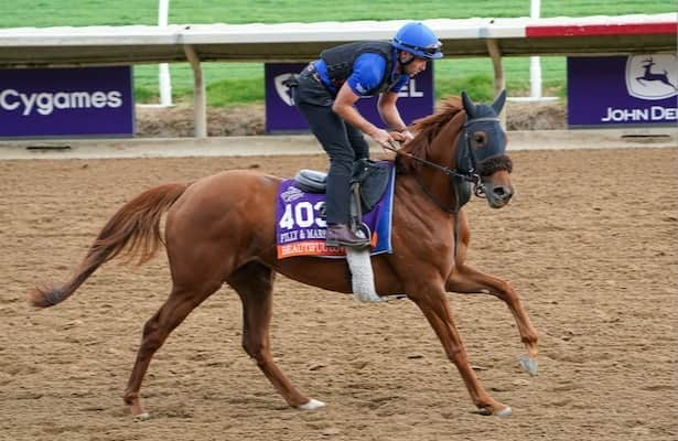 Appleby’s Beautiful Love stretches out in La Prevoyante