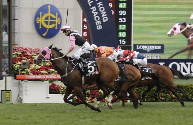 Beauty Only Hopes to Upset Able Friend in Stewards' Cup
