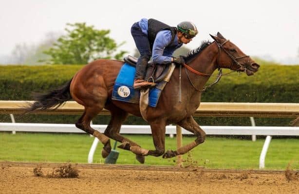 Saturday works: Bella Ballerina drills ahead of Kentucky Oaks