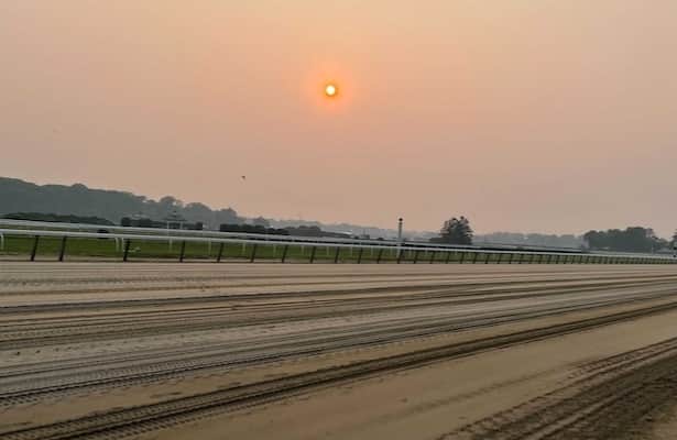 N.Y. state halts racing; NYRA remains confident about Belmont