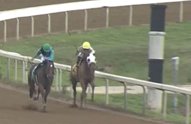 Stewards mistakenly DQ horse at Belterra in new rule confusion