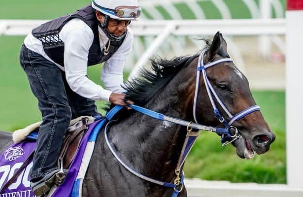 Kentucky Derby trail: Blackout Time fires a bullet ahead of Rebel