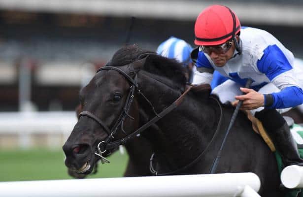 Blacktype goes after third straight victory in Artie Schiller Stakes