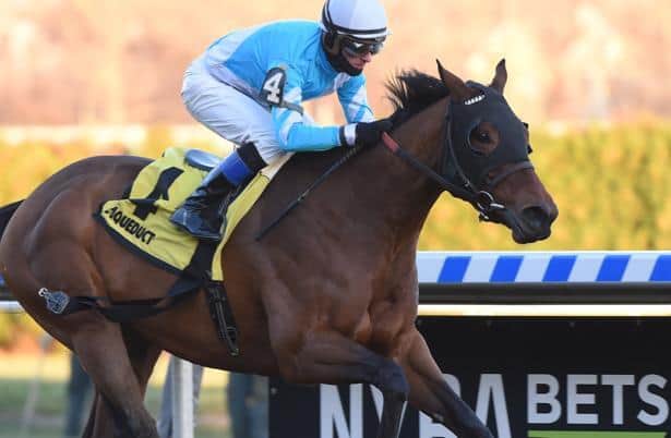 5 value plays for Saturday's Pegasus World Cup undercard