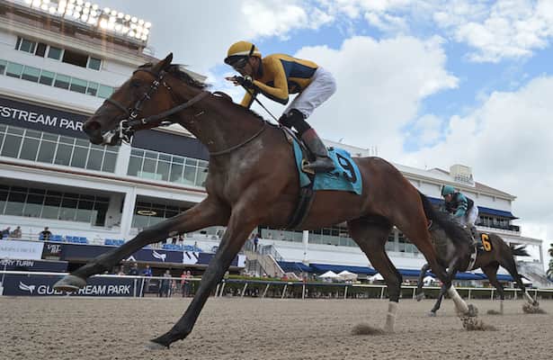 Horses to Watch: 7 on and 3 off from Preakness week