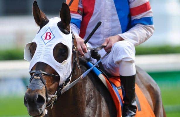Brass Hat back at Ellis Park for Thoroughbred Aftercare Alliance Day