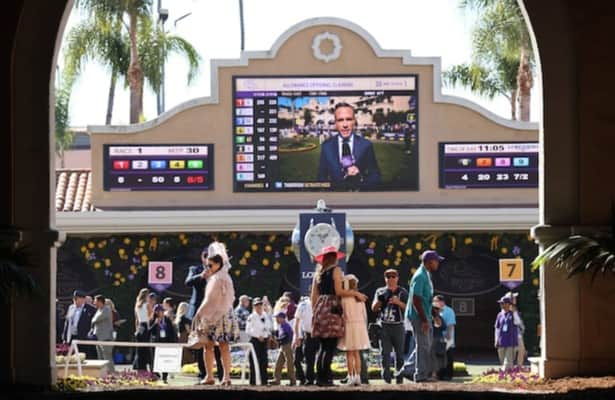 Handle tops  million for Breeders’ Cup on Friday