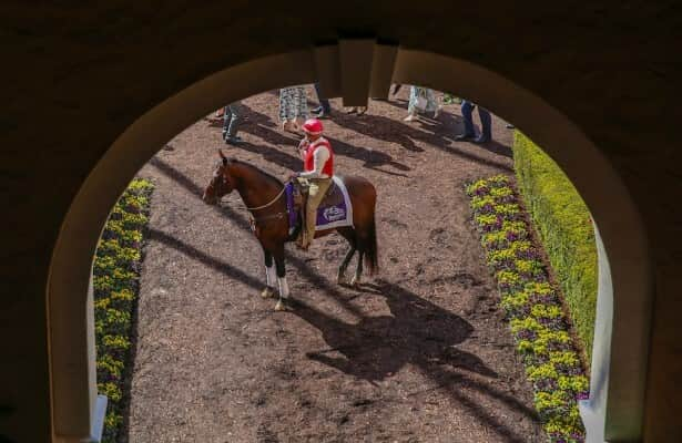 Flatter: Breeders’ Cup 2024 Q&A conjures more Q’s than A’s