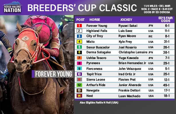 Breeders' Cup Classic Fair Odds: Older Is The Wiser Bet