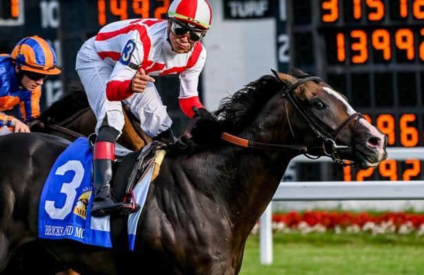 What we learned: Bricks and Mortar takes Horse of Year lead