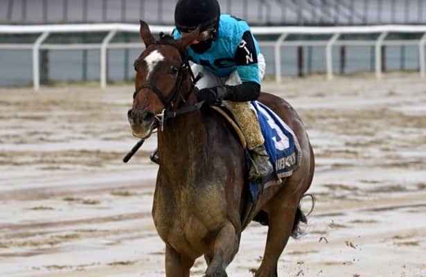 Brooklyn Strong returns in Friday stakes at Aqueduct