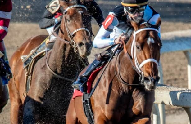 Lecomte Stakes: Odds, analysis for Kentucky Derby prep