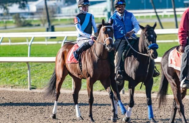 Head to Head: A case for Built in Kentucky Derby prep