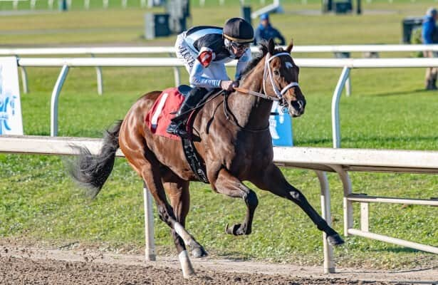 Kentucky Derby prep: Built leads rematch, full field in Lecomte