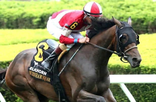 Kentucky Turf Cup: Why they win, why they lose