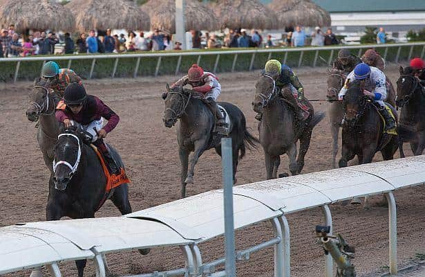 horseracingnation com