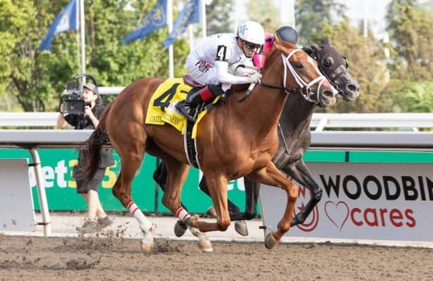 Caitlinhergrtness, King’s Plate winner, faces older in Maple Leaf