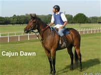 /horse/Cajun Dawn