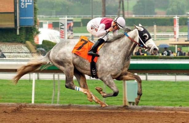 Kentucky Derby 2015 Injury/Missing Report - February