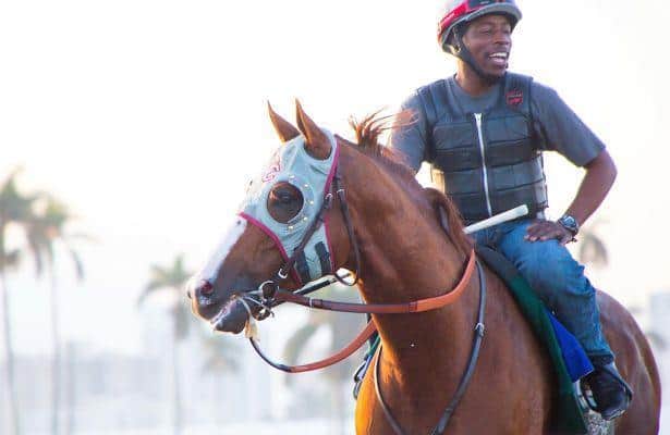California Chrome may not be done racing after Pegasus World Cup