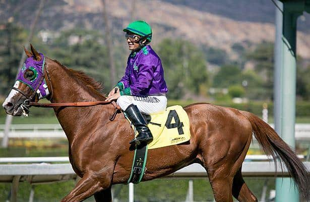 2014 Kentucky Derby Derby Dreams For California Chrome