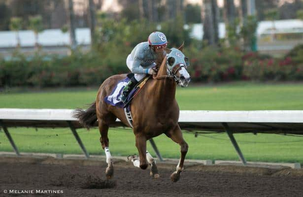 Post position favors Arrogate over California Chrome in Pegasus World Cup