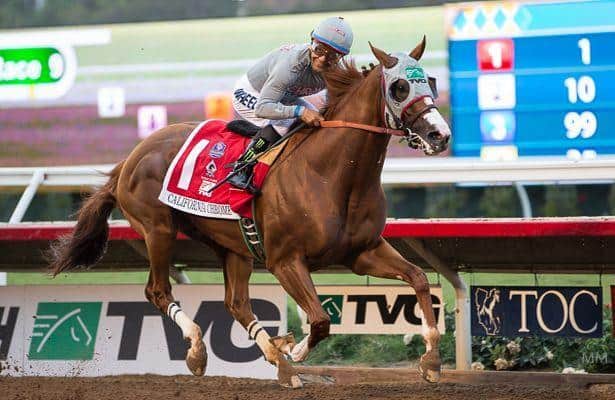 California Chrome Odds On in the Breeders' Cup Classic