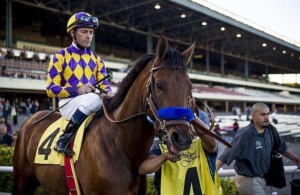 Gary Stevens may be sitting on a good one in Candy Boy