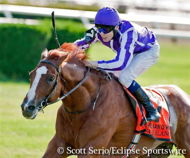 horseracingnation com