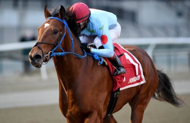 Withers odds & analysis: Capo Kane the one to beat