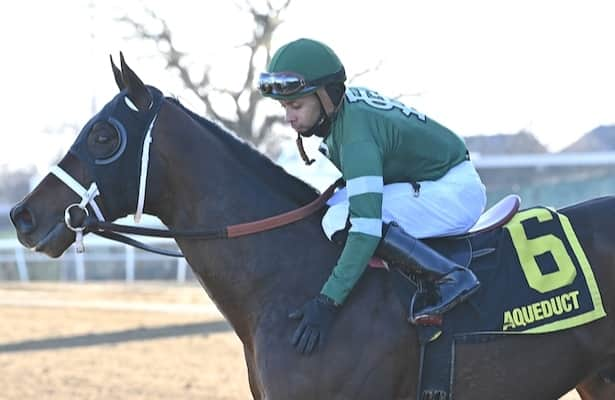 Captain Cook is pointed to Wood after Withers victory