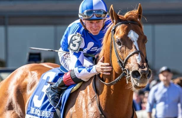 Wednesday works: Carson’s Run leads 7 graded winners